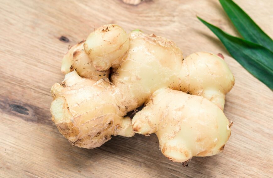 El Jengibre: Un Tesoro Nutricional con Propiedades Medicinales