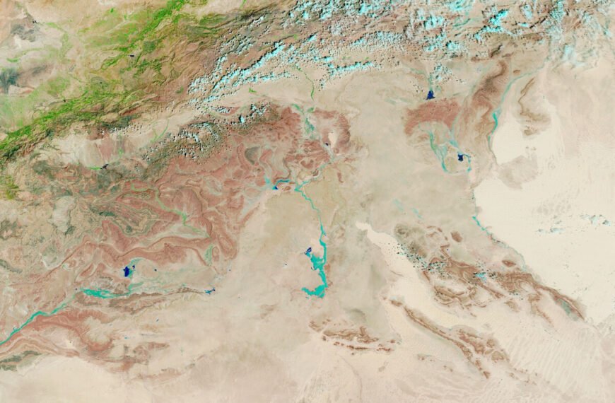 El Sorprendente Revitalización del Sáhara: La Vegetación se Expande en el Desierto
