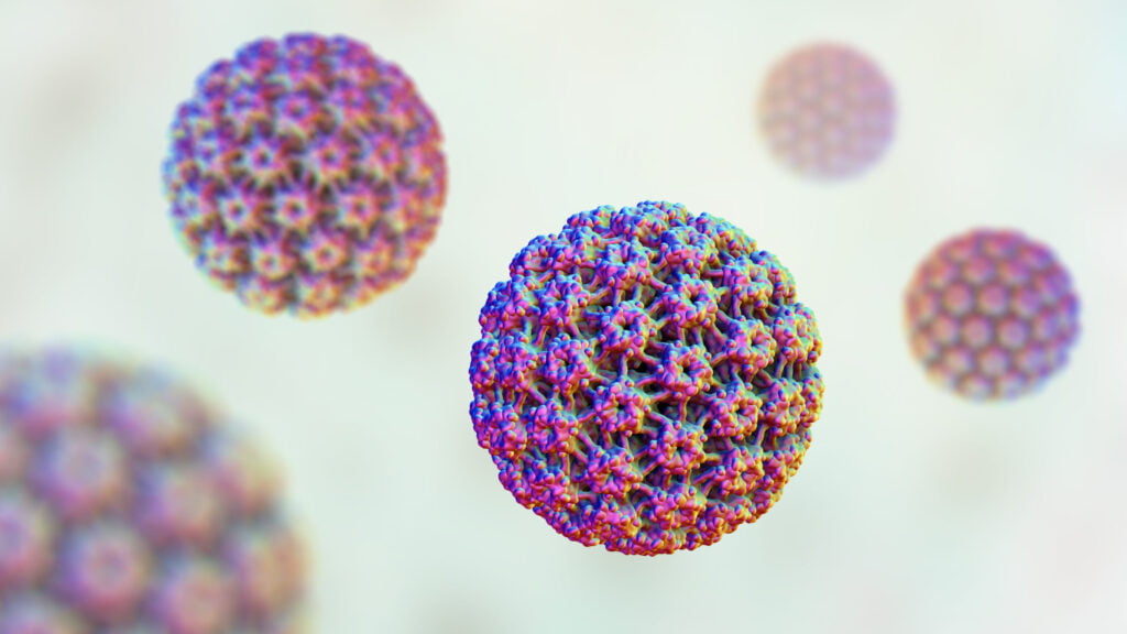 El virus del papiloma humano